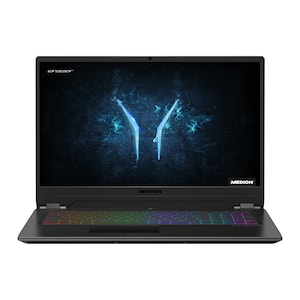 MEDION ERAZER X17801 / MD 61569, DE