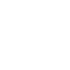 Seasonic_v2 logo
