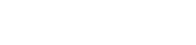 The Cycle