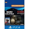 Call of Duty Black Ops Cold War Points 5000 (PSX)
