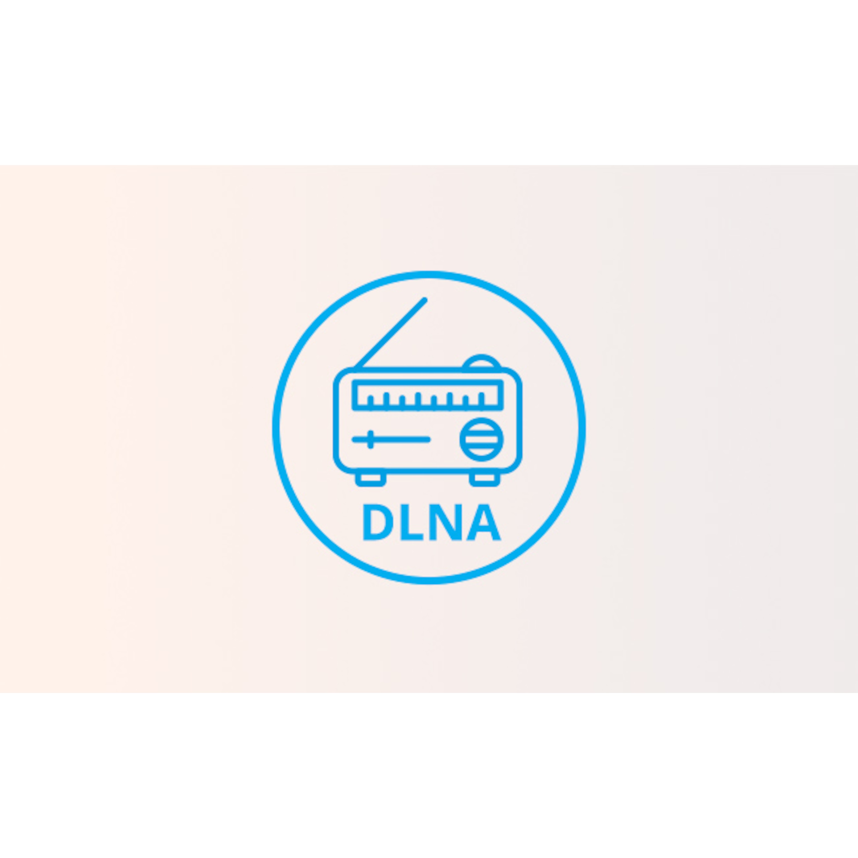 DLNA-/UPnP-Kompatibilität