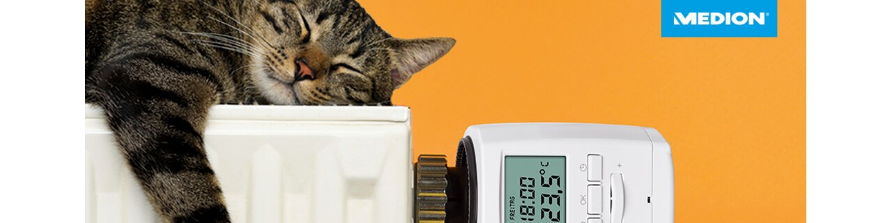 Header_Smart_Home_Heizkoerper_Katze.jpg