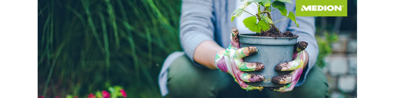 38260_Header_Garten.jpg