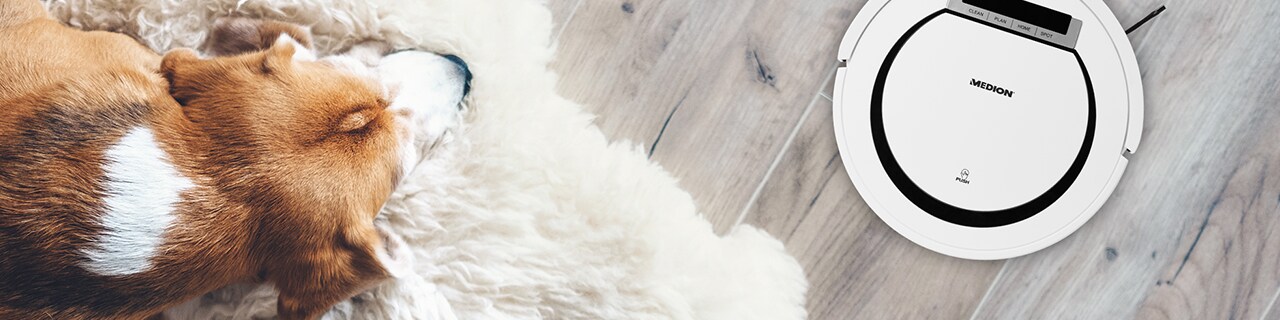 Header_Saugi_18600_ohneLogo.jpg