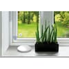 MEDION® Smart Home Tür- und Fensterkontakt P85703, Erkennt geöffnete Türen, Fenster und Schränke, Löst Alarm aus, Steuerung per App
