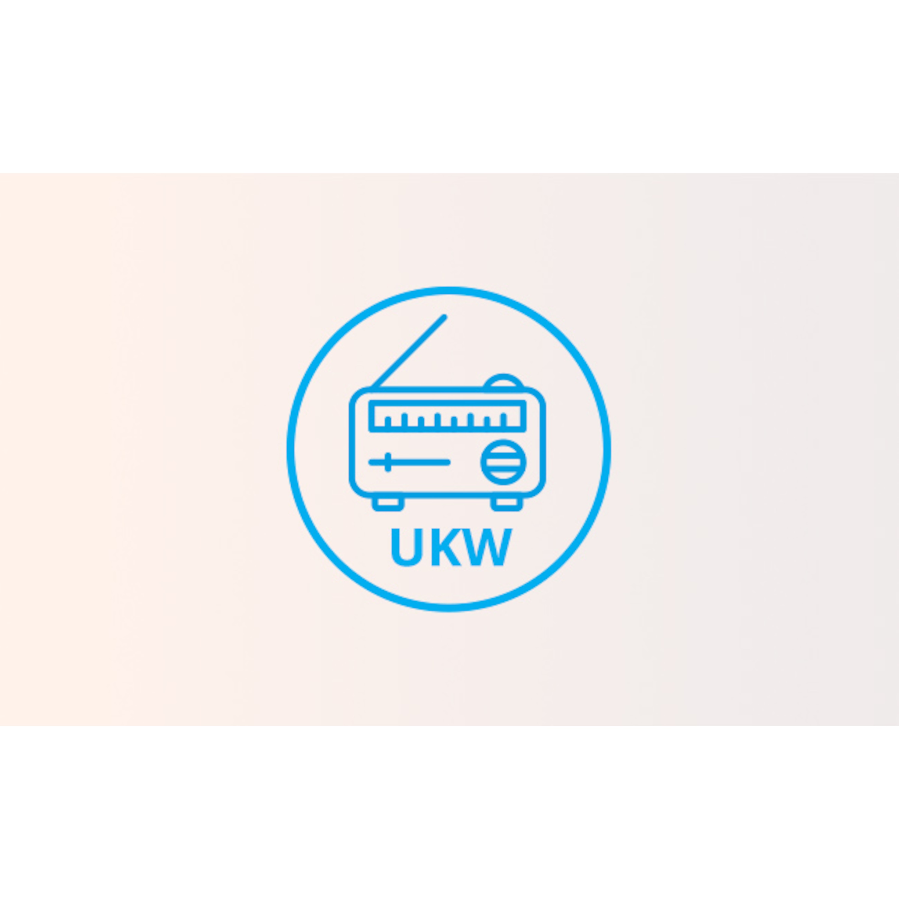 Integriertes UKW Radio