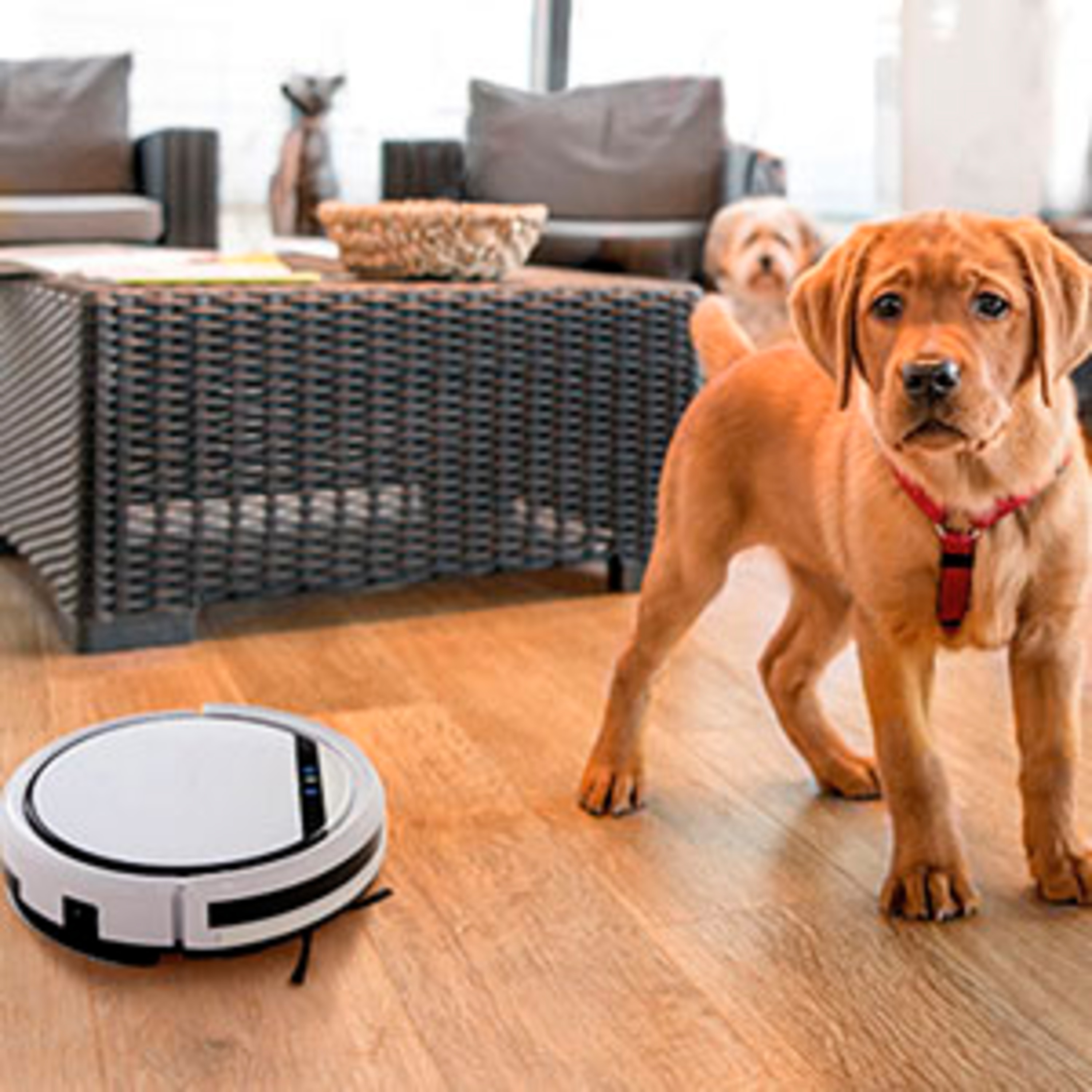 Frische Luft – auch für Allergiker