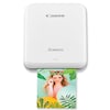 Zoemini_SliverWhite_StraightOn_Print