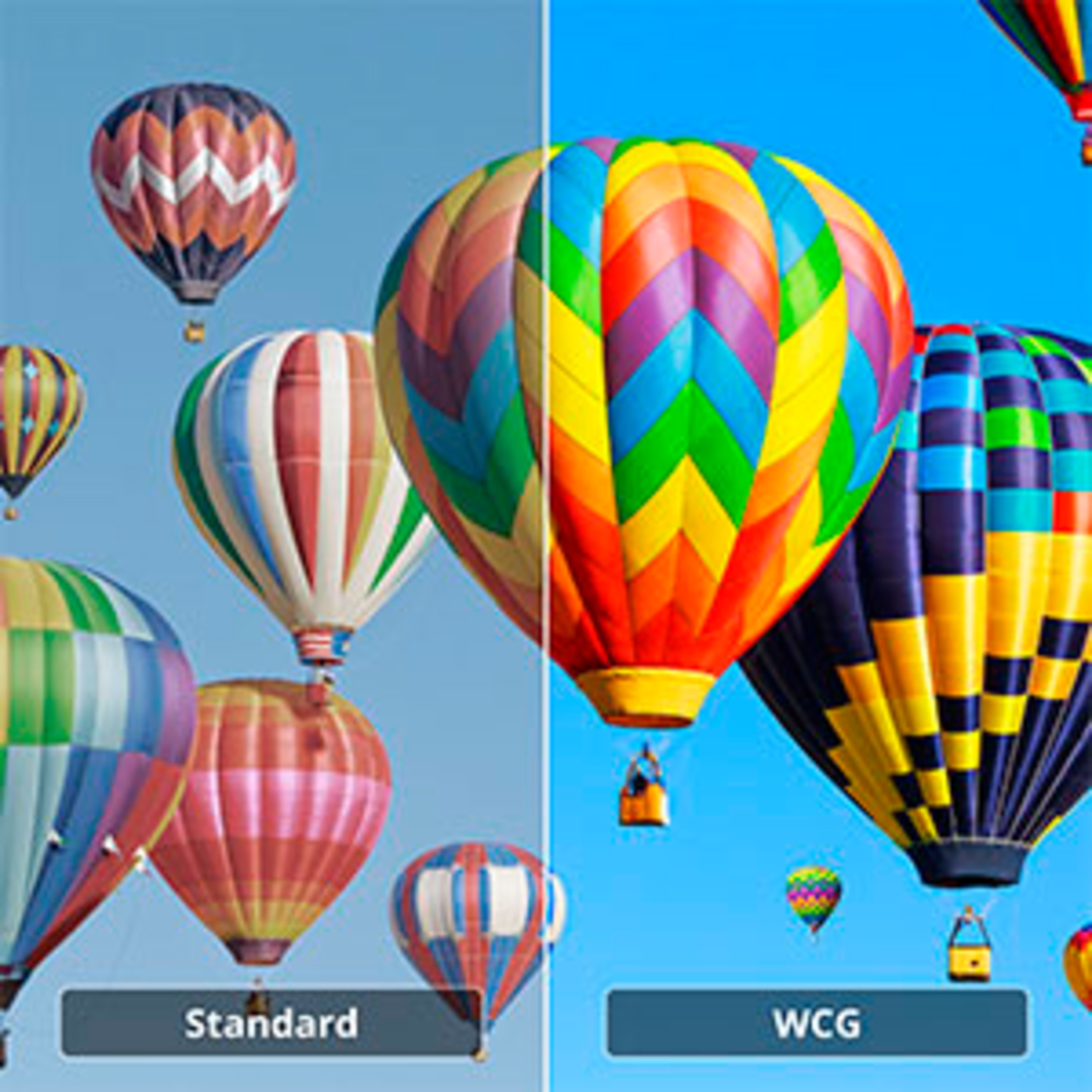 WCG-Technologie macht Farben lebendig
