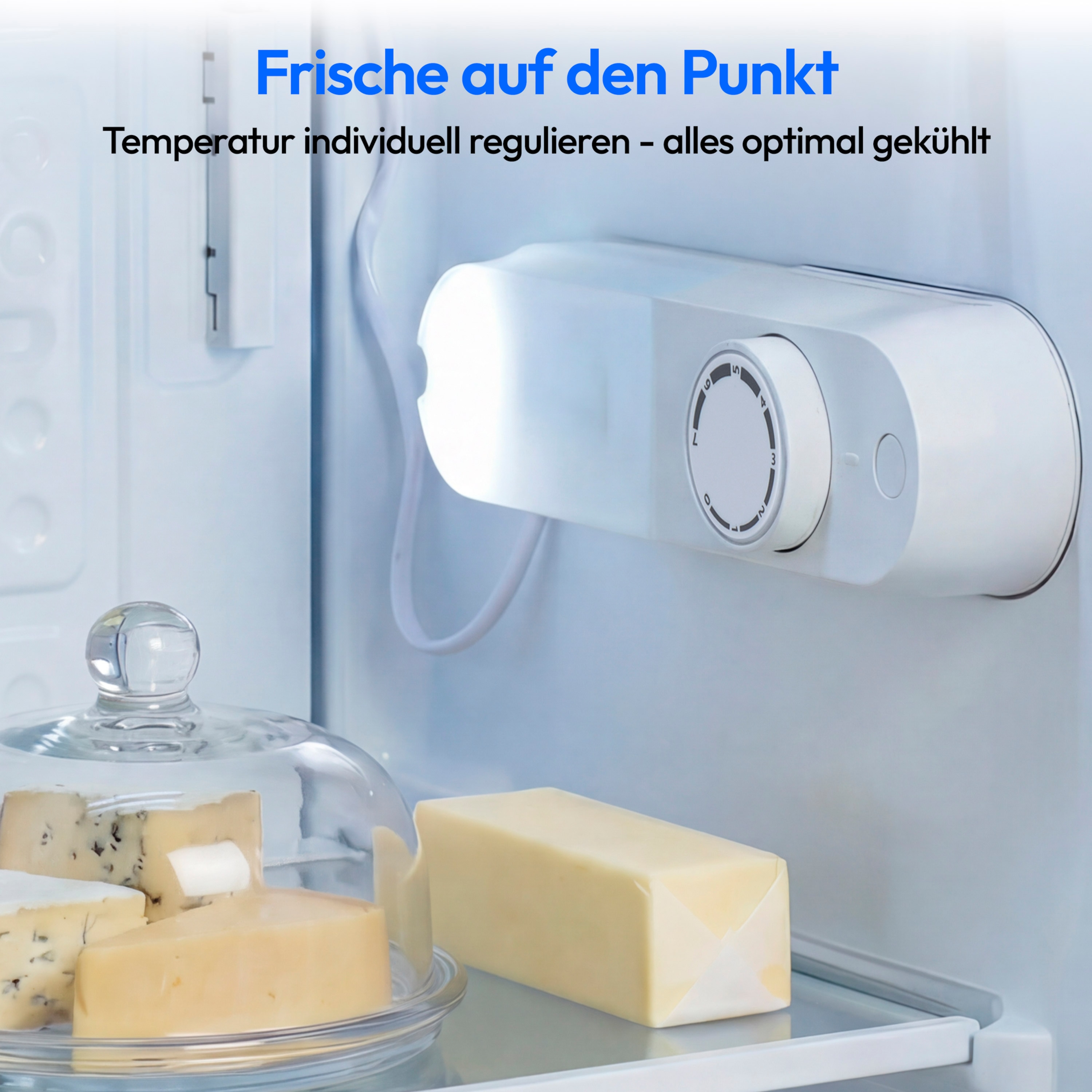 MEDION® LIFE Kühlschrank MD 37767, 92 L Nutzinhalt, 40 dB, Stufenlose Temperaturreglung, Höhenverstellbare Füße, Energieeffizienzsklasse E