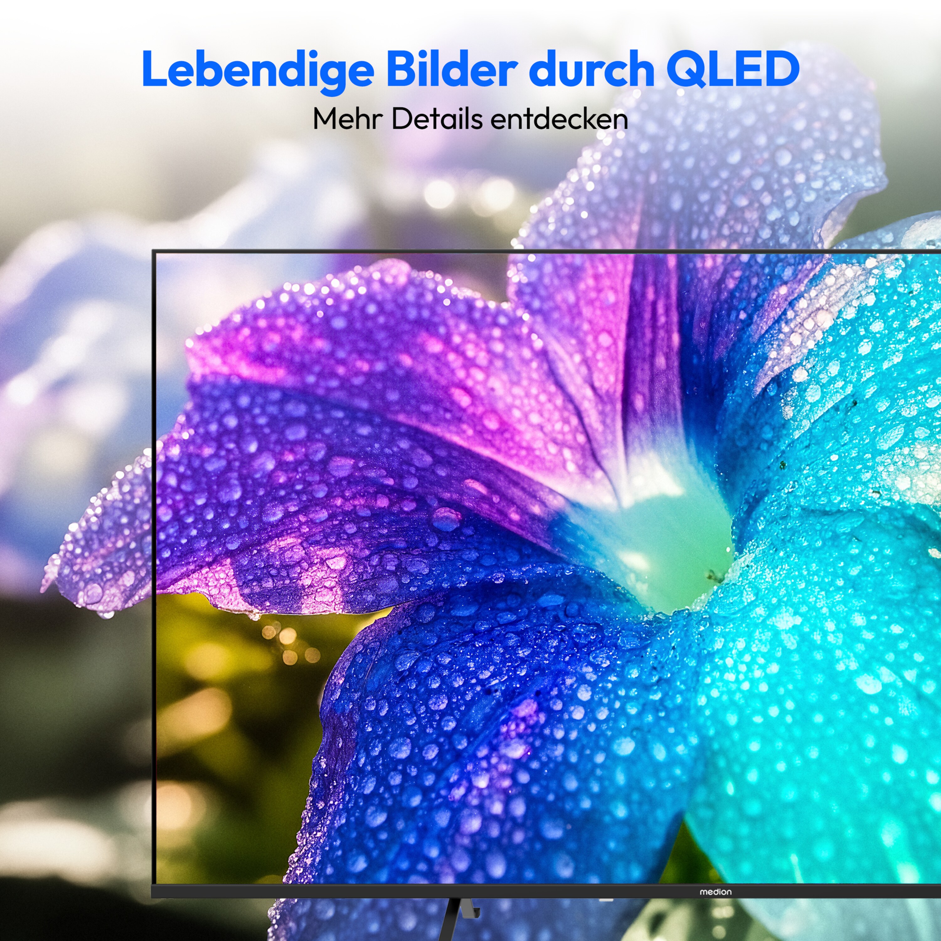 MEDION® LIFE MD 865701 QLED Google TV™, 163,9 cm (65'') Ultra HD Display, HDR (High Dynamic Range), Dolby Vision®, MEMC, Bluetooth®, PVR ready, Netflix, Prime Video, Disney+, App Store