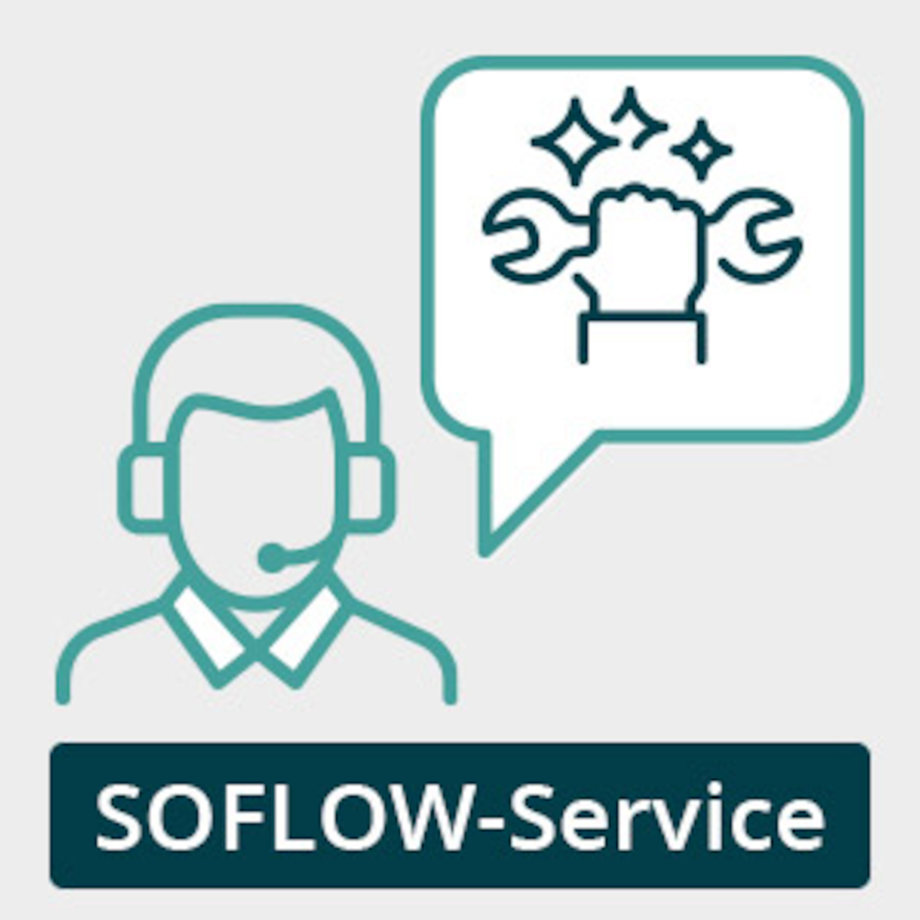 SoFlow-Service