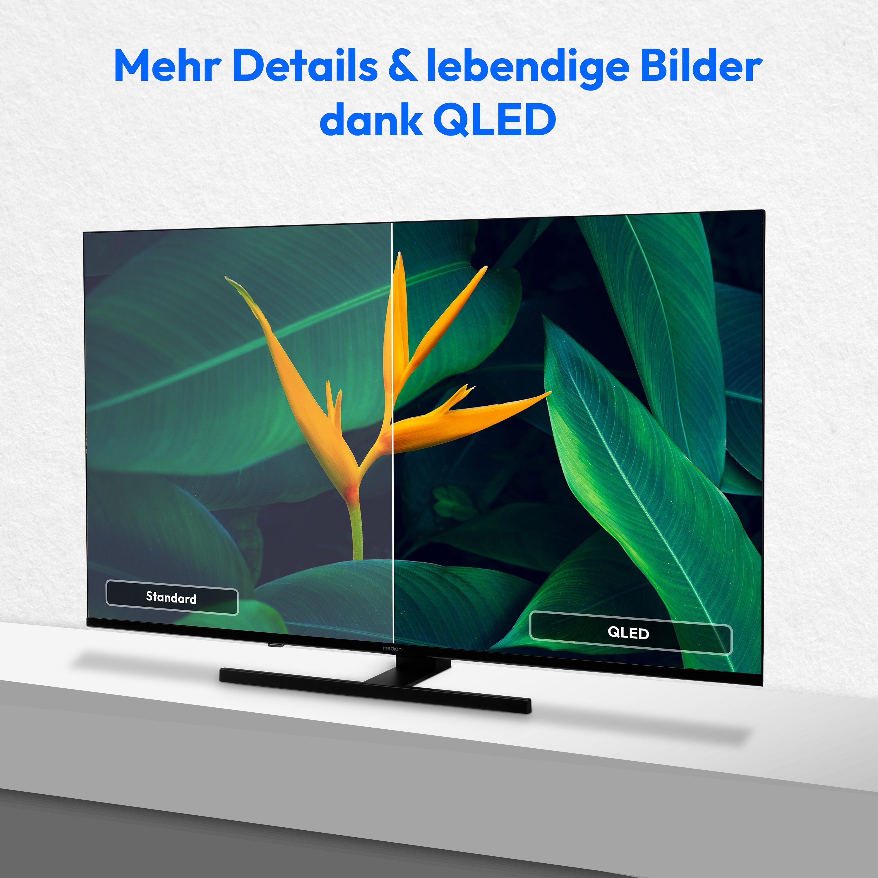 MEDION® LIFE X8652504 (MD 865600) QLED Smart-TV, 163,9 cm (65'') Ultra HD Display, HDR, Dolby Vision®, MEMC, PVR ready, VIDAA App Store, NETFLIX, Disney+, Paramount+ & Amazon Prime Video App, Bluetooth®, DTS X, Dolby Atmos®, HD Triple Tuner