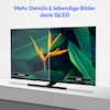 MEDION® LIFE X8652504 (MD 865600) QLED Smart-TV, 163,9 cm (65'') Ultra HD Display, HDR, Dolby Vision®, MEMC, PVR ready, VIDAA App Store, NETFLIX, Disney+, Paramount+ & Amazon Prime Video App, Bluetooth®, DTS X, Dolby Atmos®, HD Triple Tuner
