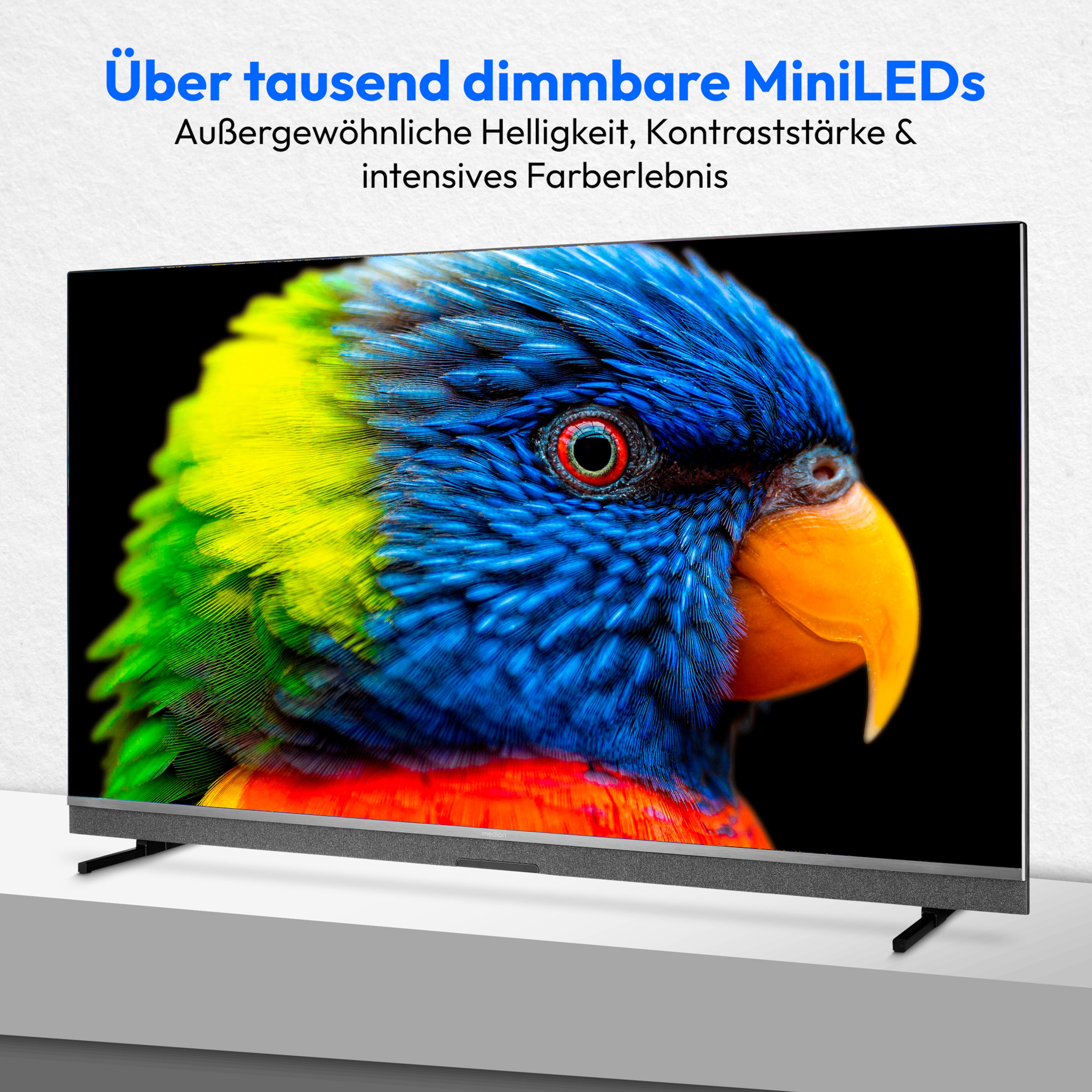 MEDION® LIFE X8652507 (MD 865900) MiniLED TiVo Smart-TV, 163,9 cm (65'') Ultra HD Display, HDR, Dolby Vision®, MEMC, Micro Dimming, PVR ready, TiVo Medienportal, NETFLIX, Amazon Prime Video, Disney+ App, Bluetooth®