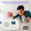 MEDION® MEDION LIFE Internetradio IRE-1 (MD89318), Empfang von über 40.000 Sendern & 20.000 Podcasts, 5 Watt (RMS), Bluetooth® 5.2 wireless technology, 2,4" (6,1 cm) TFT-Farbdisplay