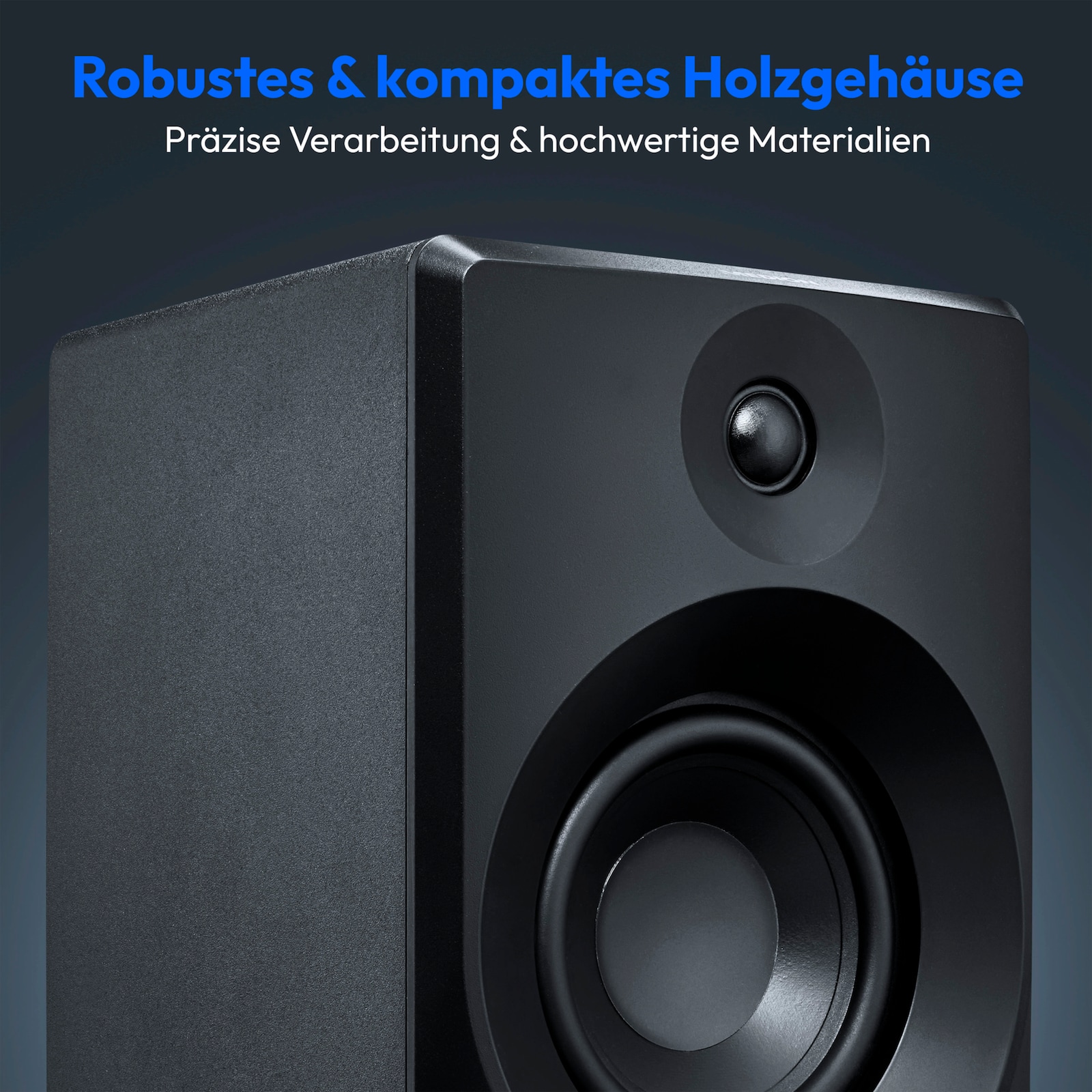 MEDION® LIFE® P61925 Regallautsprecher | MEDION.DE