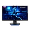 MEDION® ERAZER® Spectator X40 (MD 21725), Full HD Monitor, 62,2 cm (25''), FHD Display, 180Hz, HDR10, HDMI® Anschluss und DisplayPort