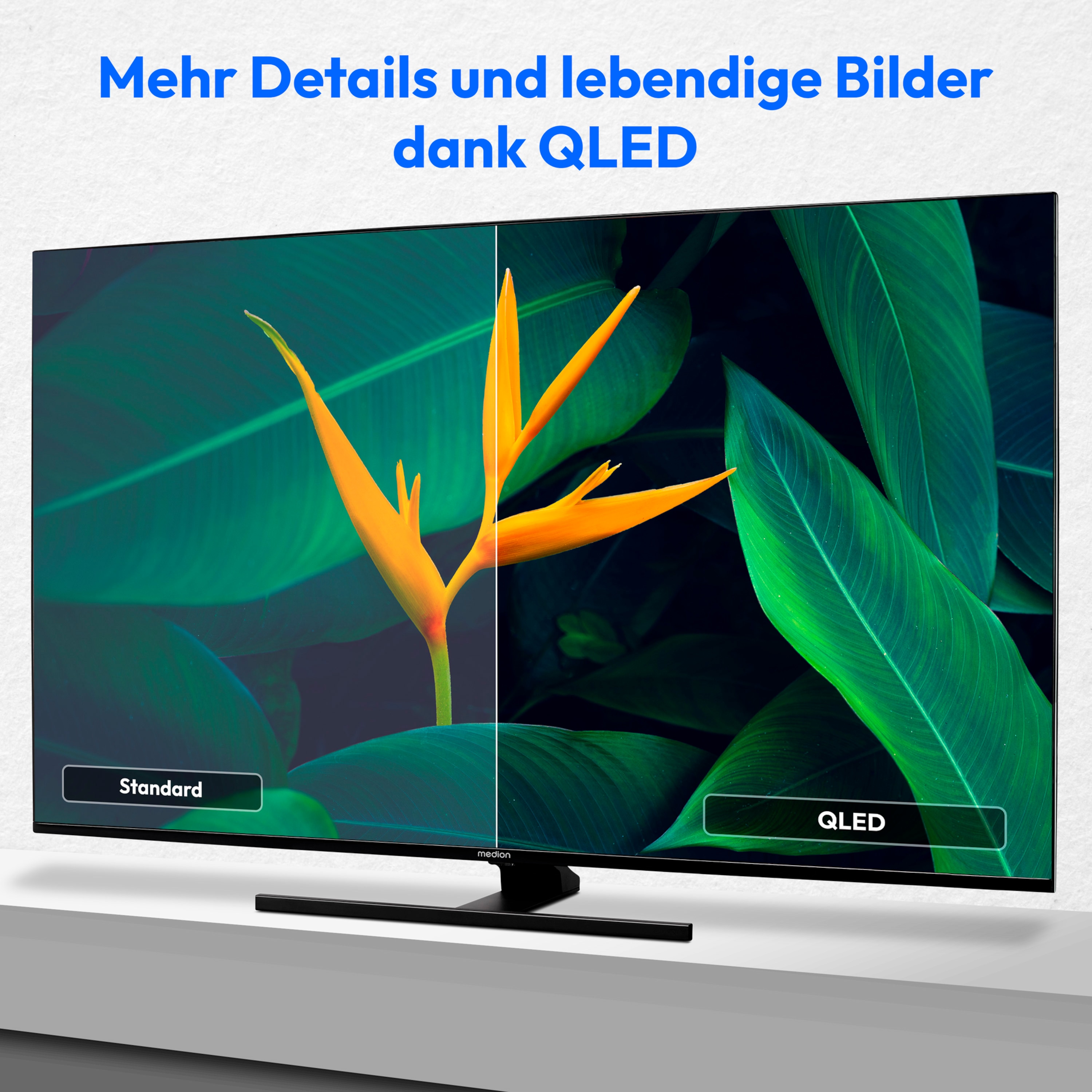 MEDION® LIFE® X15528 (MD 30962) QLED Smart-TV, 138,8 cm (55'') Ultra HD Display + Soundbar Atmos (MD44022)  - ARTIKELSET