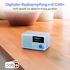 MEDION® LIFE® S66822 Tragbares DAB+ Radio, Farb-TFT Display 3,73 cm (1,47''), DAB+/UKW-Radio (je 40 Senderspeicher), Bluetooth® 5.3, integrierter Akku, extra kompakt, 2 W RMS