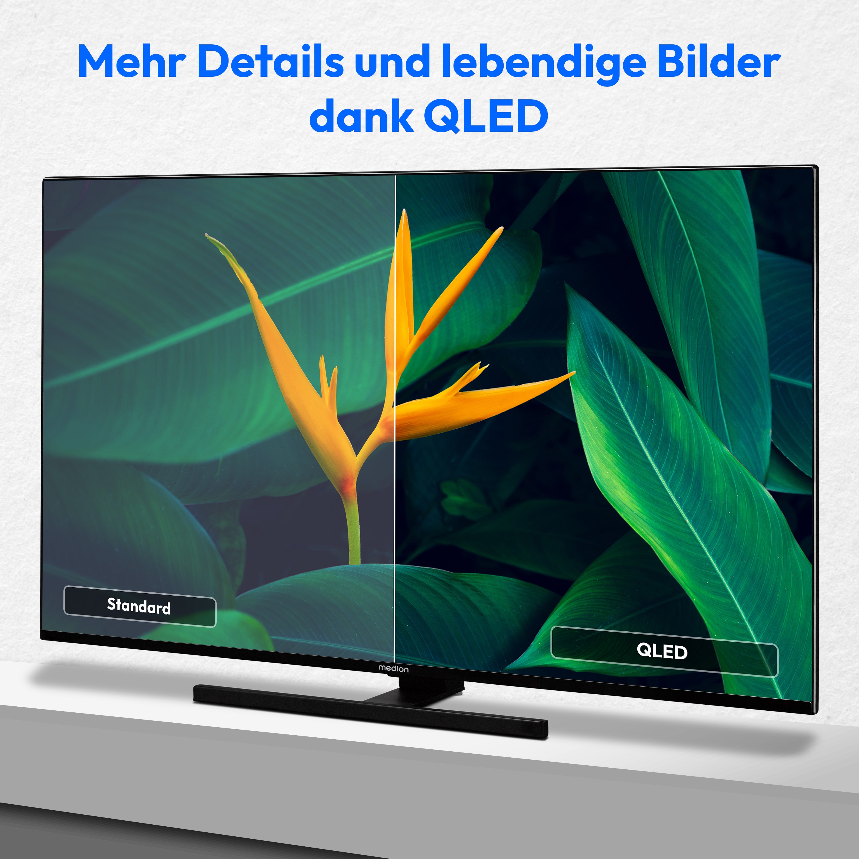 MEDION® LIFE® X15032 (MD 31411) QLED Fire TV, 125,7 cm (50'') Ultra HD Display, HDR, Dolby Vision®, Micro Dimming, MEMC, Netflix, Amazon Prime Video, Bluetooth®, DTS HD, DTS Virtual X, Dolby Atmos®, HD Triple Tuner, CI+