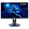 MEDION® ERAZER® Spectator X40 (MD 21725), Full HD Monitor, 62,2 cm (25''), FHD Display, 180Hz, HDR10, HDMI® Anschluss und DisplayPort