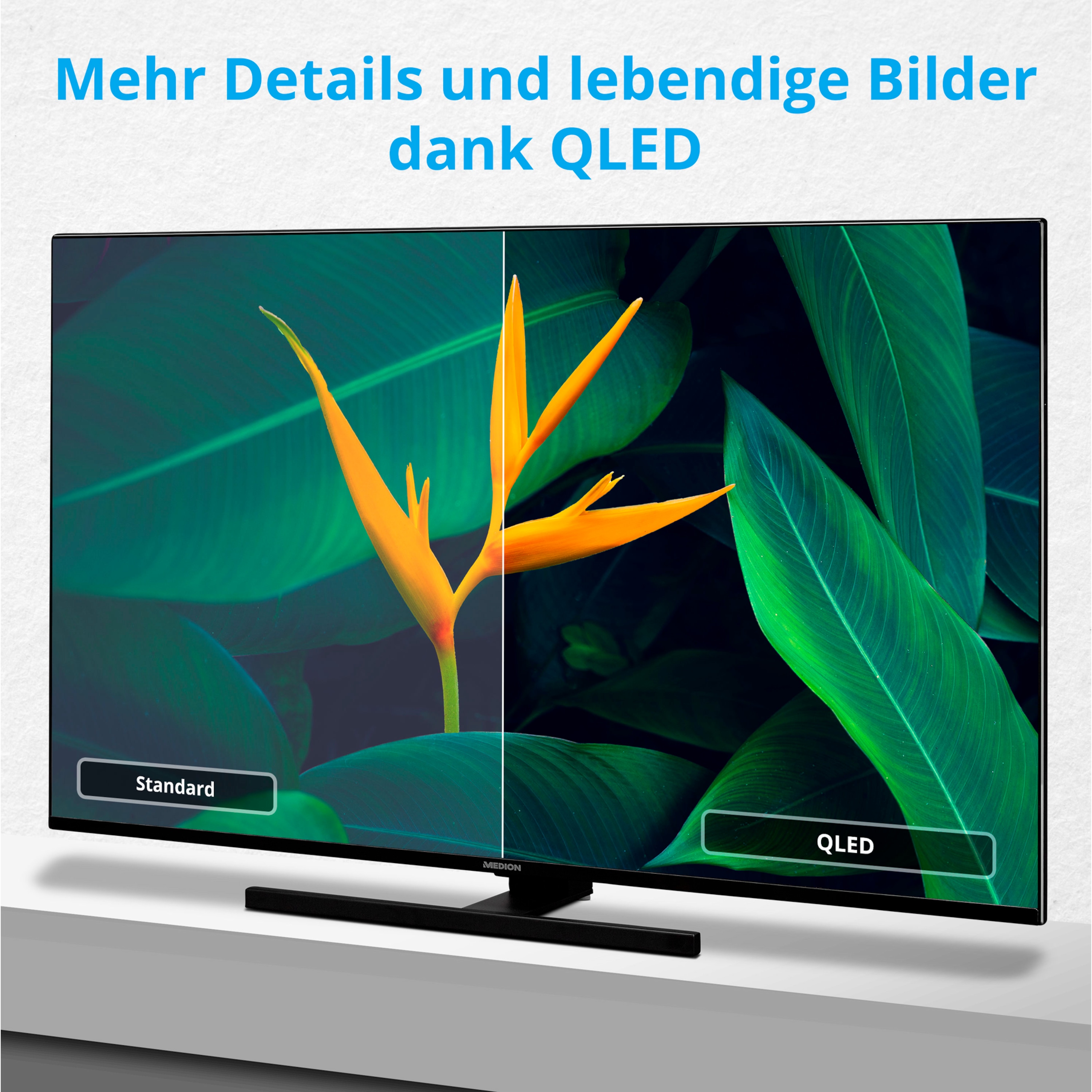 MEDION® LIFE® X15552 (MD 30607) QLED Smart-TV, 138,8 cm (55'') Ultra HD Display inkl. Wandhalterung Tilt Basic - ARTIKELSET