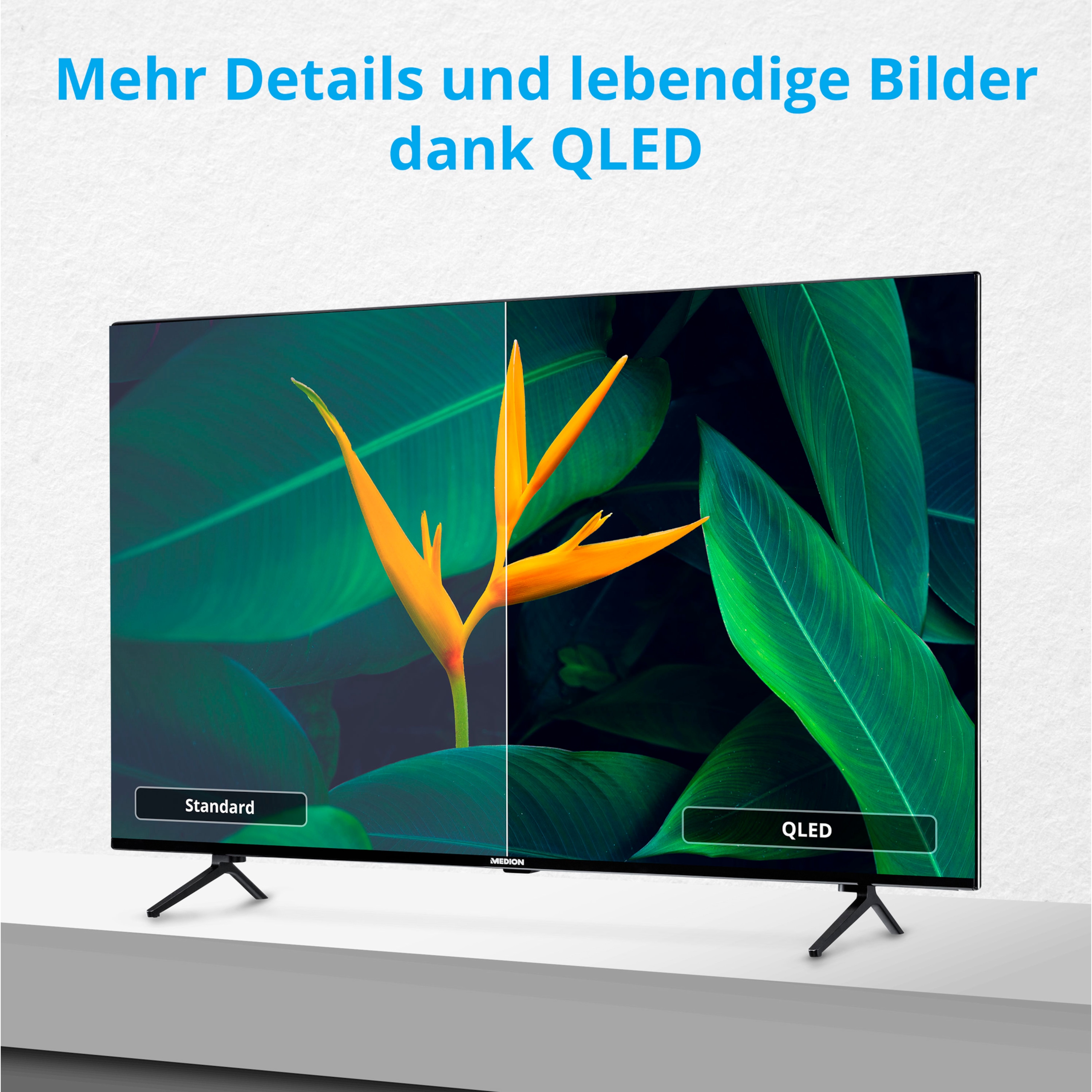 MEDION® LIFE® X14327 QLED Android TV, 108 cm (43'') Ultra HD Smart-TV, HDR, Dolby Vision®, Micro Dimming, PVR ready, Netflix, Amazon Prime Video, Bluetooth®, DTS Sound, HD Triple Tuner, CI+