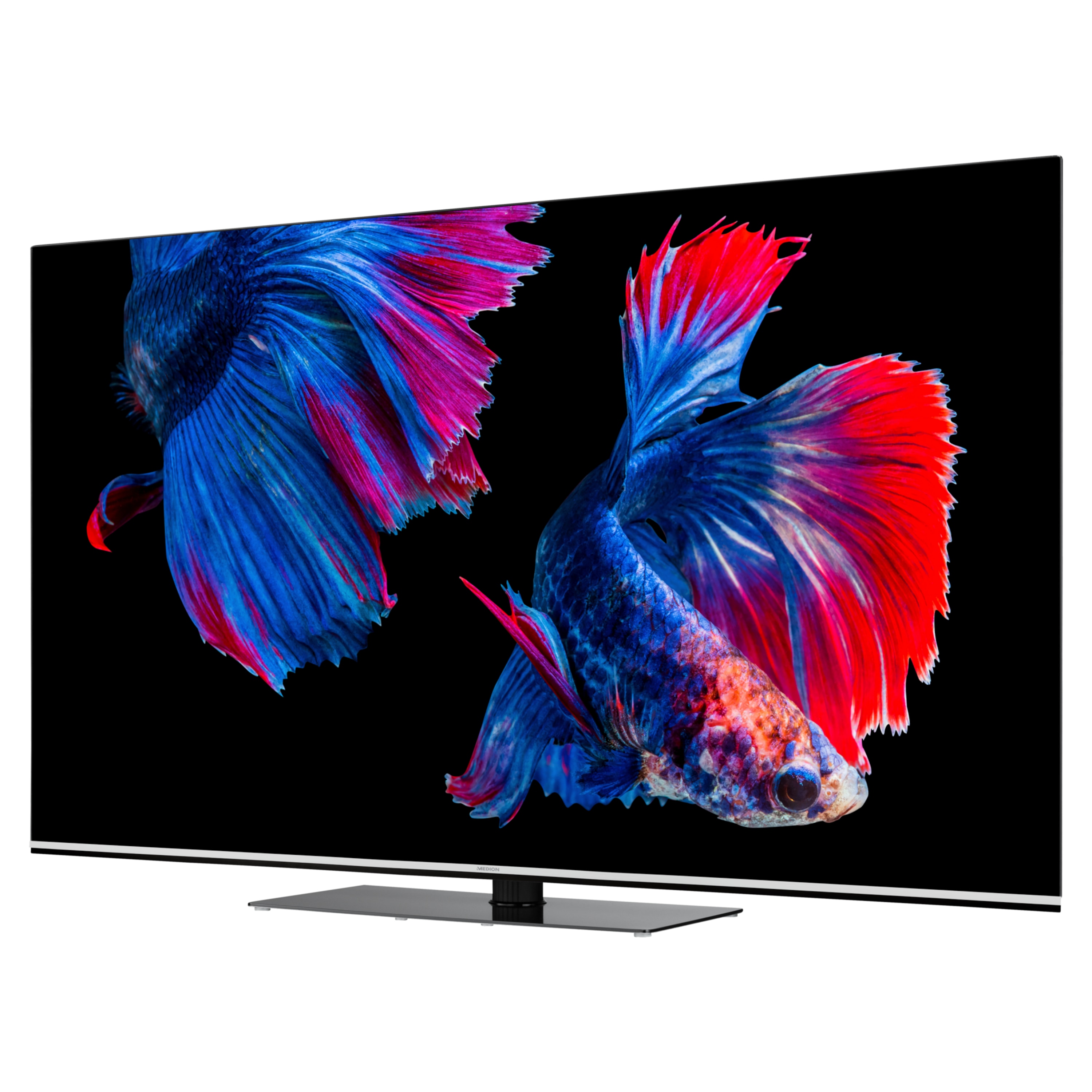MEDION® LIFE® X16595 (MD 33989) OLED Smart 4K TV, 163,9 cm (65'') Ultra HD Display, HDR, Dolby Vision®, Dolby Atmos®, Micro Dimming, MEMC, 100 Hz, PVR ready, Netflix, Amazon Prime Video, Bluetooth®, DTS HD, HD Triple Tuner, CI+ (B-Ware)