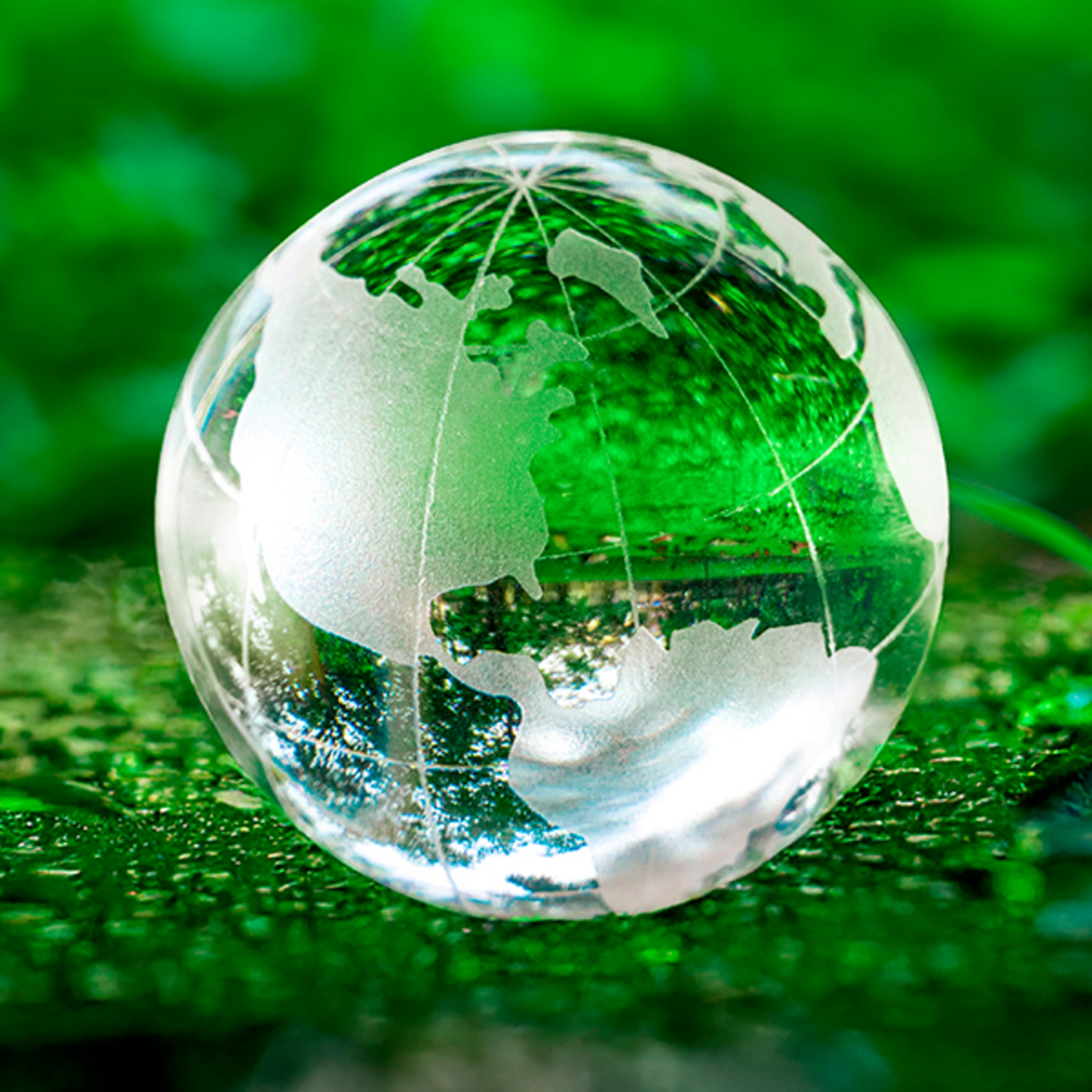 Vier Sterne für Deine Kühlung