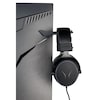 MEDION® ERAZER® Spectator X50 (MD 21732), QHD Monitor, 80 cm (32''), QHD Display, 165Hz, HDR10, HDMI® Anschluss und DisplayPort