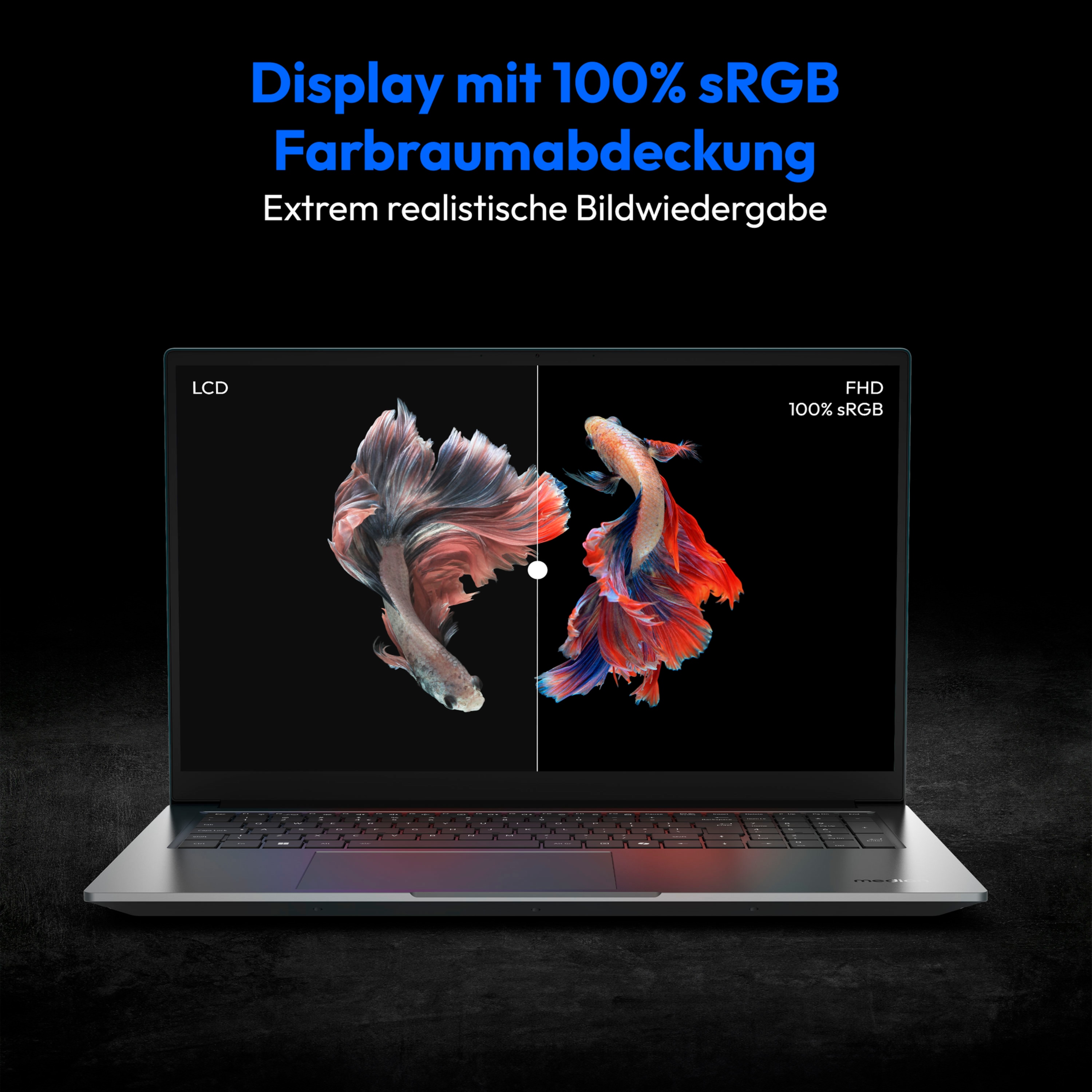 MEDION® P17621 Laptop, Intel® Core™ i7-13620H, Windows 11 Home, 43,9 cm (17,3") FHD Display, RTX™ 2050, 1 TB SSD, 16 GB RAM