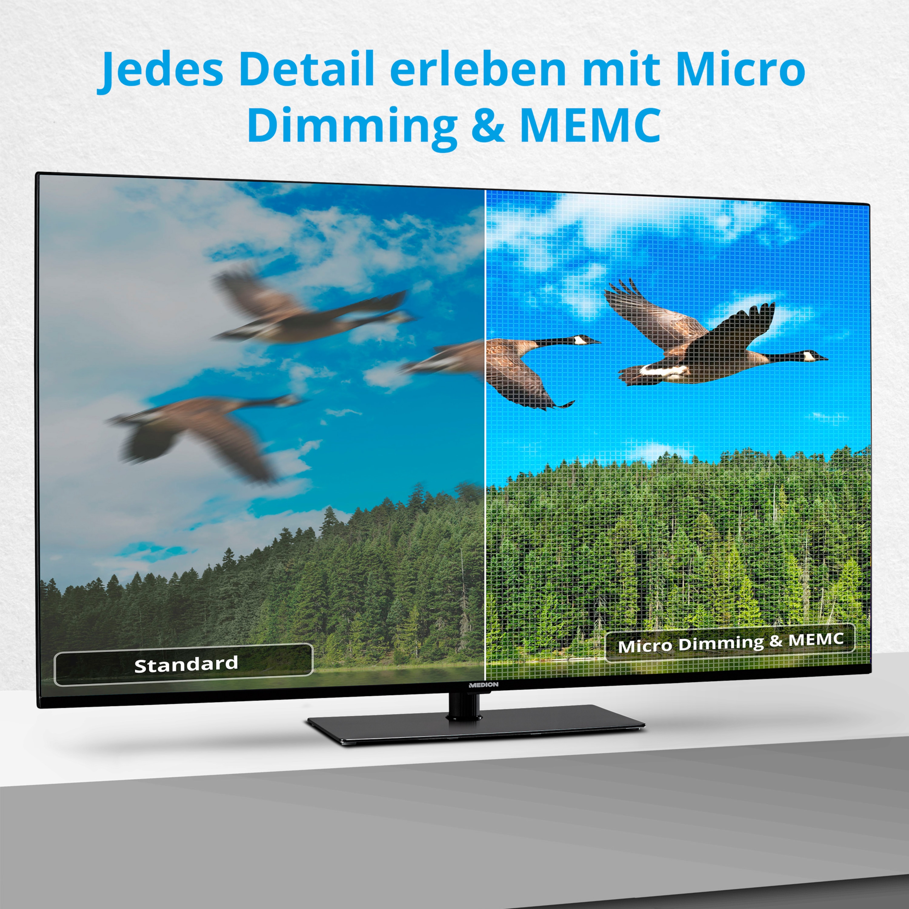 MEDION® LIFE® X16519 (MD 31948) LCD Smart-TV, 163,9 cm (65'') Ultra HD Display inkl. Wandhalterung Tilt Basic - ARTIKELSET