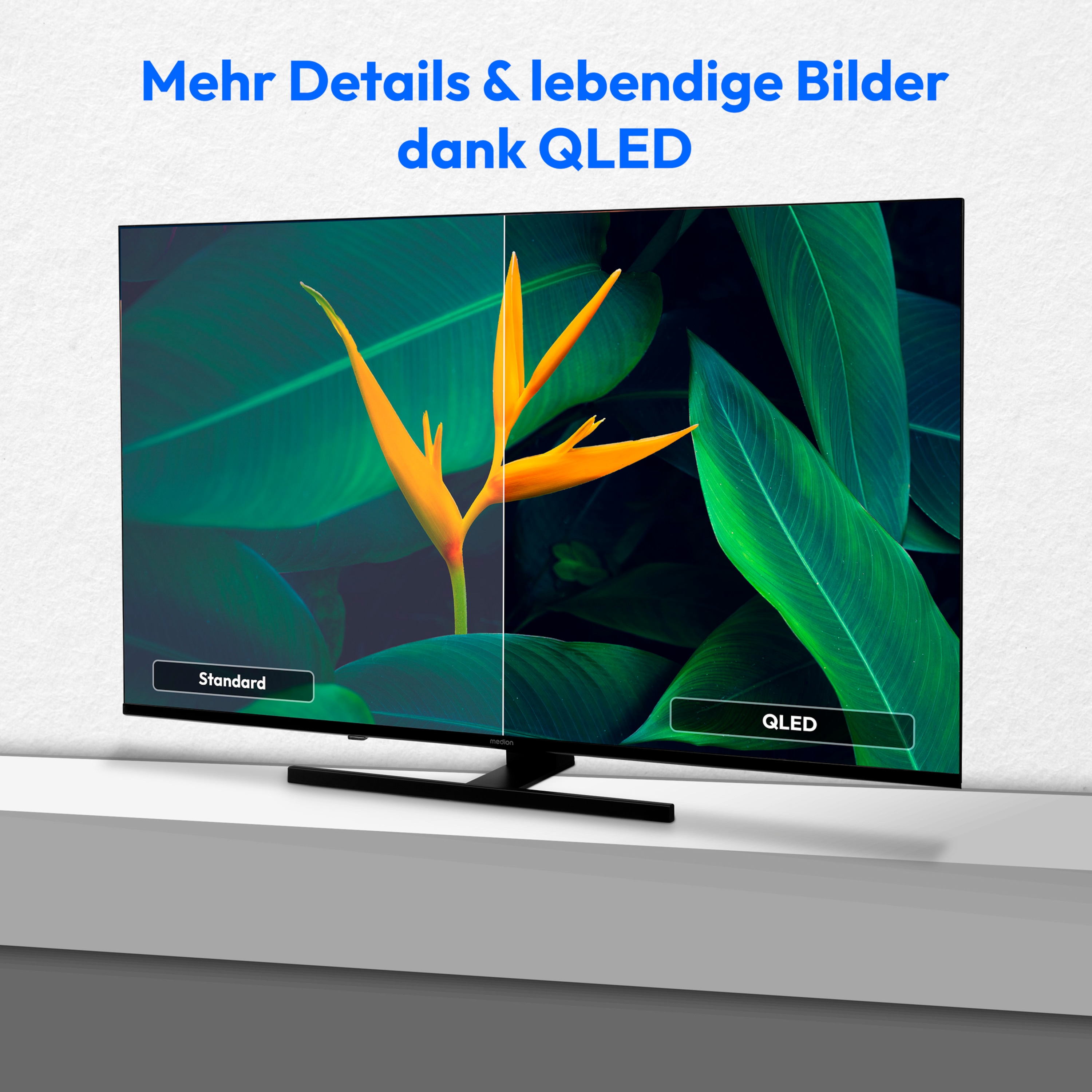MEDION® LIFE® X8652506 (MD 865800) QLED Fire TV, 163,9 cm (65'') Ultra HD Display, HDR, Dolby Vision®, MEMC, Netflix, Amazon Prime Video, Bluetooth®, DTS X, DTS Virtual X, Dolby Atmos®, HD Triple Tuner, CI+ Schnittstelle