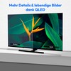 MEDION® LIFE® X8652506 (MD 865800) QLED Fire TV, 163,9 cm (65'') Ultra HD Display, HDR, Dolby Vision®, MEMC, Netflix, Amazon Prime Video, Bluetooth®, DTS X, DTS Virtual X, Dolby Atmos®, HD Triple Tuner, CI+ Schnittstelle