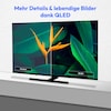 MEDION® LIFE® MD 850700 QLED Google TV™, 125,7 cm (50'') Ultra HD, HDR, Dolby Vision®, MEMC, PVR ready, Netflix, Amazon Prime Video, Bluetooth®, Dolby Atmos, DTS Virtual X, DTS X, HD Triple Tuner, CI+ Schnittstelle