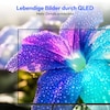 MEDION® LIFE MD 843602 QLED Smart-TV - Modell 2026, 108 cm (43'') Ultra HD Display, HDR, Dolby Vision®, MEMC, Bluetooth®, PVR ready, HBO Max, MagentaTV, NETFLIX, Prime Video, Disney+, DAZN, Paramount+ App, VIDAA App Store, Dolby Atmos®