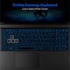 MEDION® ERAZER Deputy P60 Core Gaming Laptop, Intel® Core™ i7-13620H, Windows 11 Home, 39,6 cm (15,6'') FHD Display mit 144 Hz, NVIDIA® GeForce RTX™ 4070, 1 TB SSD, 16 GB RAM