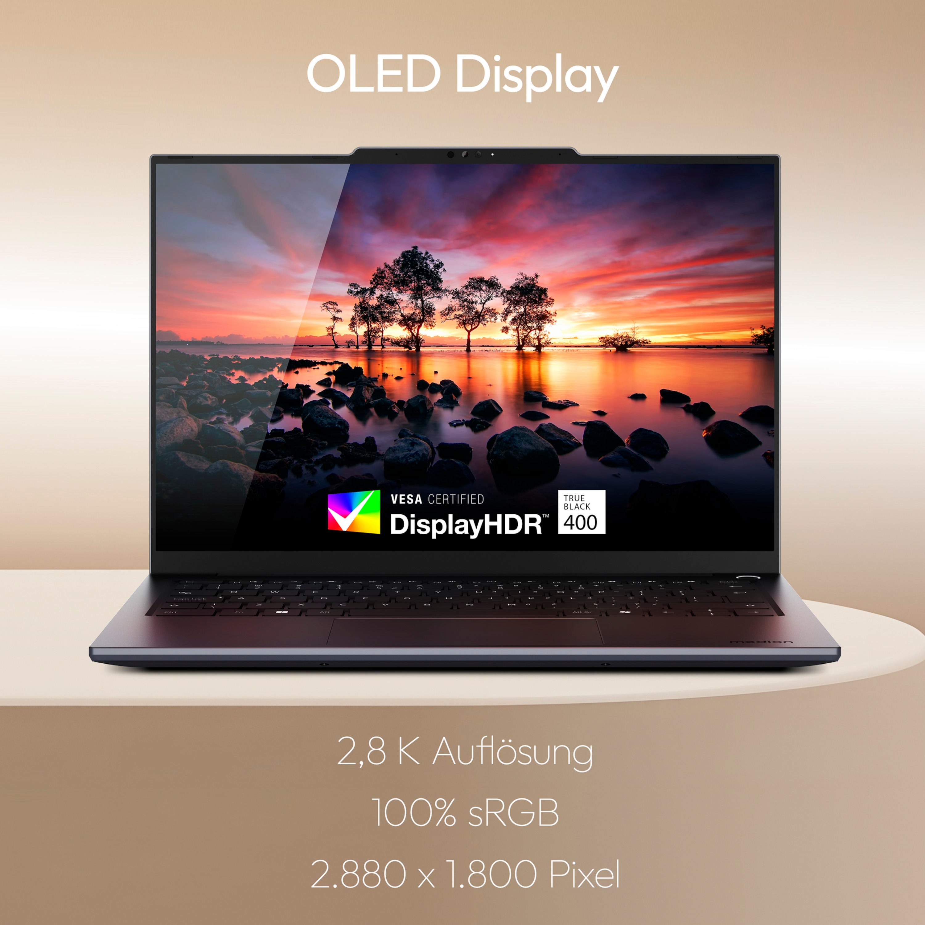 MEDION Signium 14 S1 OLED, Intel® Core™ 5 120U , Windows&nbsp;11&nbsp;Home, 35,56 cm (14“) 2,8K OLED Display, 512 GB SSD, 16 GB RAM