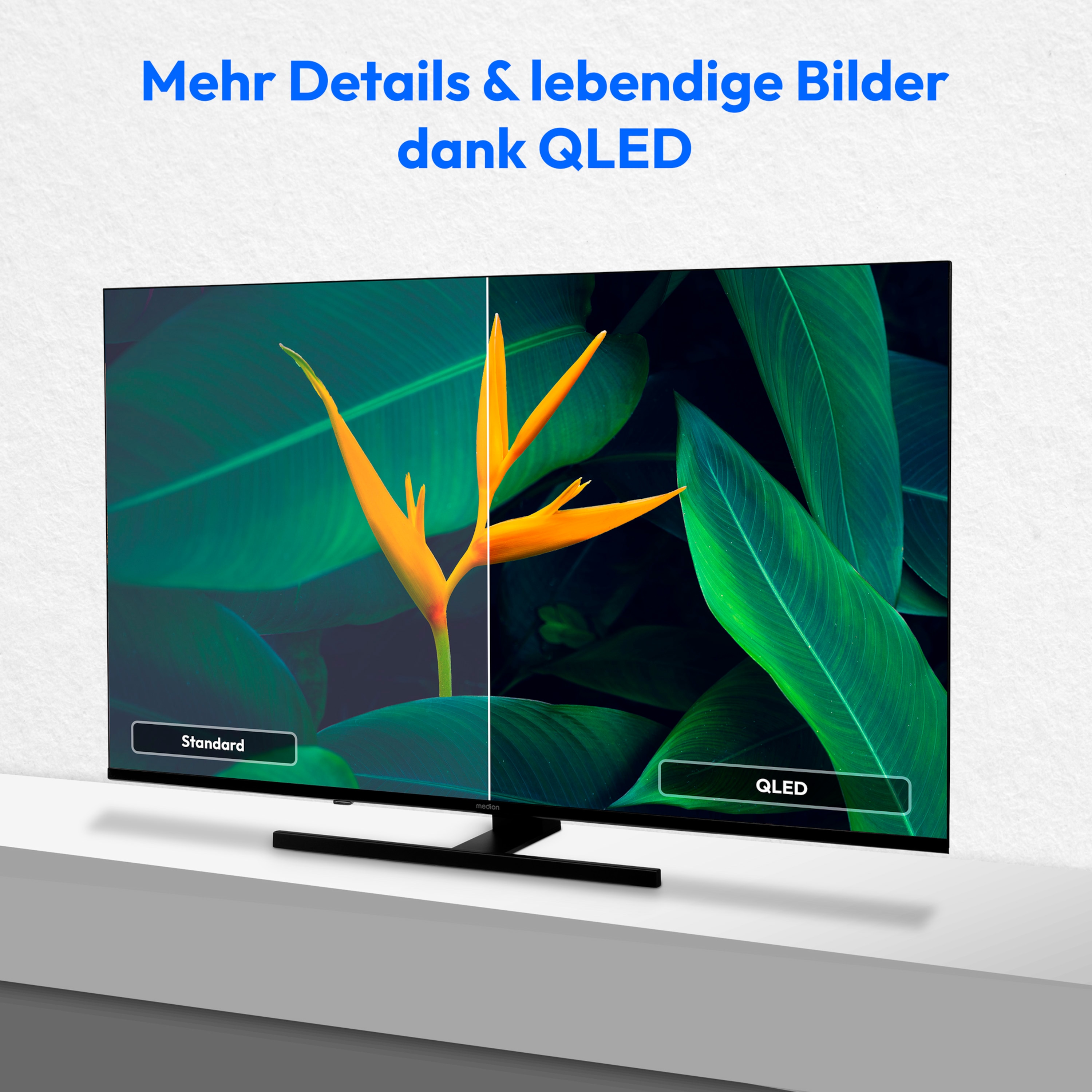 MEDION® LIFE X8432504 (MD 843600) QLED Smart-TV, 108 cm (43'') Ultra HD Display, HDR, Dolby Vision®, MEMC, PVR ready, VIDAA App Store, NETFLIX, Disney+, Paramount+ & Amazon Prime Video App, Bluetooth®, DTS X, Dolby Atmos®, HD Triple Tuner