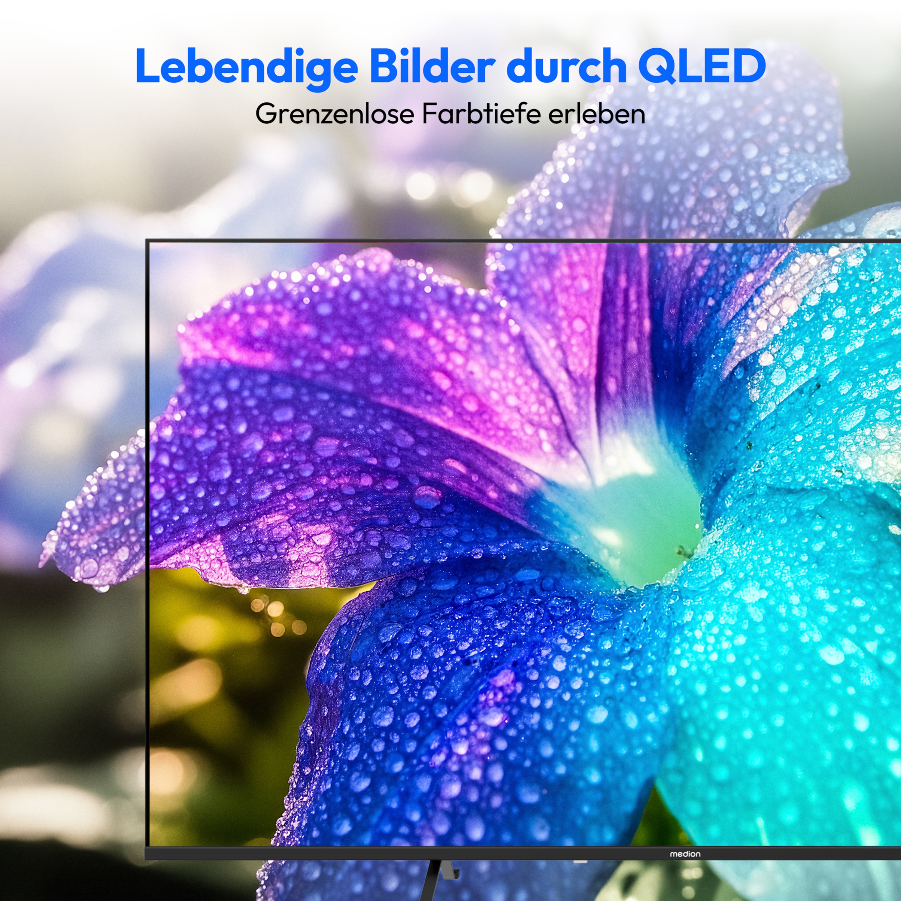MEDION® LIFE MD 855602 QLED Smart-TV (2026), 138,8 cm (55'') Ultra HD Display, HDR, Dolby Vision®, MEMC, Bluetooth®, PVR ready, HBO Max, MagentaTV, NETFLIX, Prime Video, Disney+, DAZN, Paramount+ App, VIDAA App Store, Dolby Atmos®