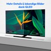 MEDION® LIFE® X8652505 (MD 865700) QLED Google TV™, 163,9 cm (65'') Ultra HD, HDR, Dolby Vision®, MEMC, PVR ready, Netflix, Amazon Prime Video, Bluetooth®, Dolby Atmos, DTS Virtual X, DTS X, HD Triple Tuner, CI+ Schnittstelle