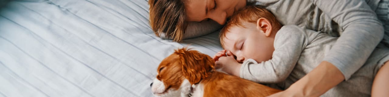 Header_Luftkuehler2.jpg