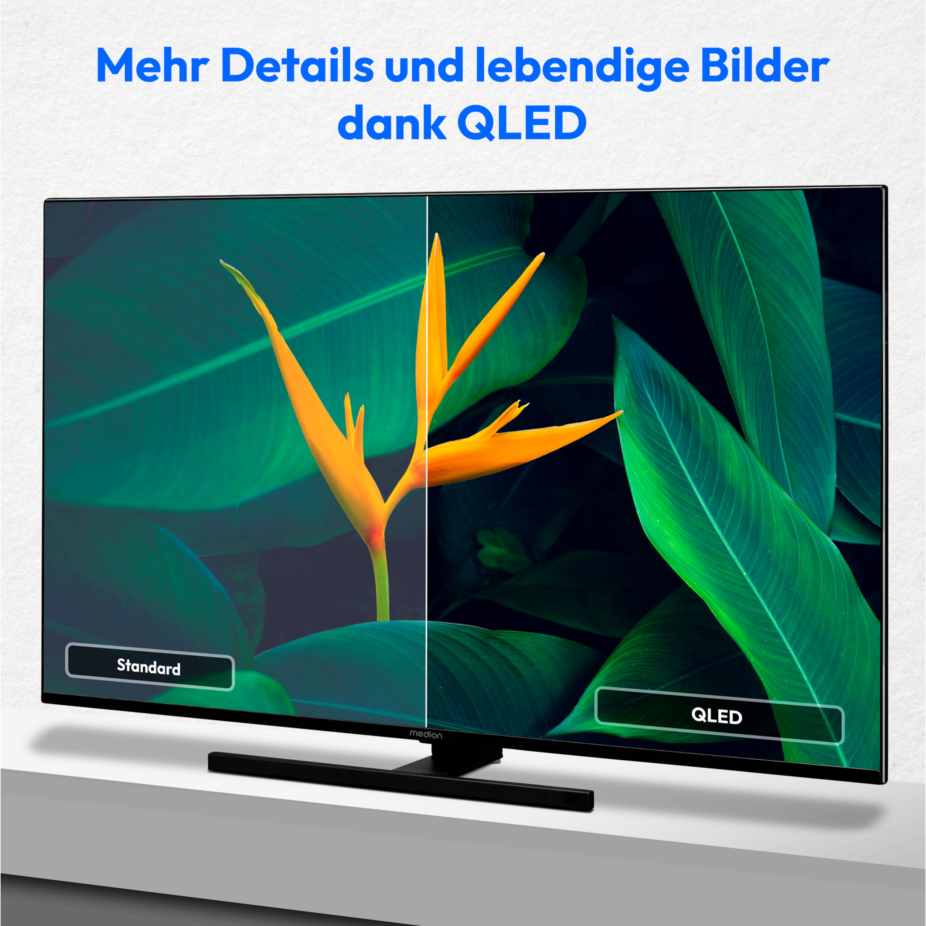 MEDION® Entertainment-Bundle - LIFE® X15529 (MD 31172) QLED Android TV, 138,8 cm (55'') Ultra HD Smart-TV + Soundbar Atmos (MD44022)