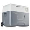 MEDION® LIFE Kühl- und Gefrierbox MD13111, -20°C bis 20°C, mit Kompressor, 60 Watt,  39 L Stauraum, LED Anzeige, Energieeffizenzklasse D
