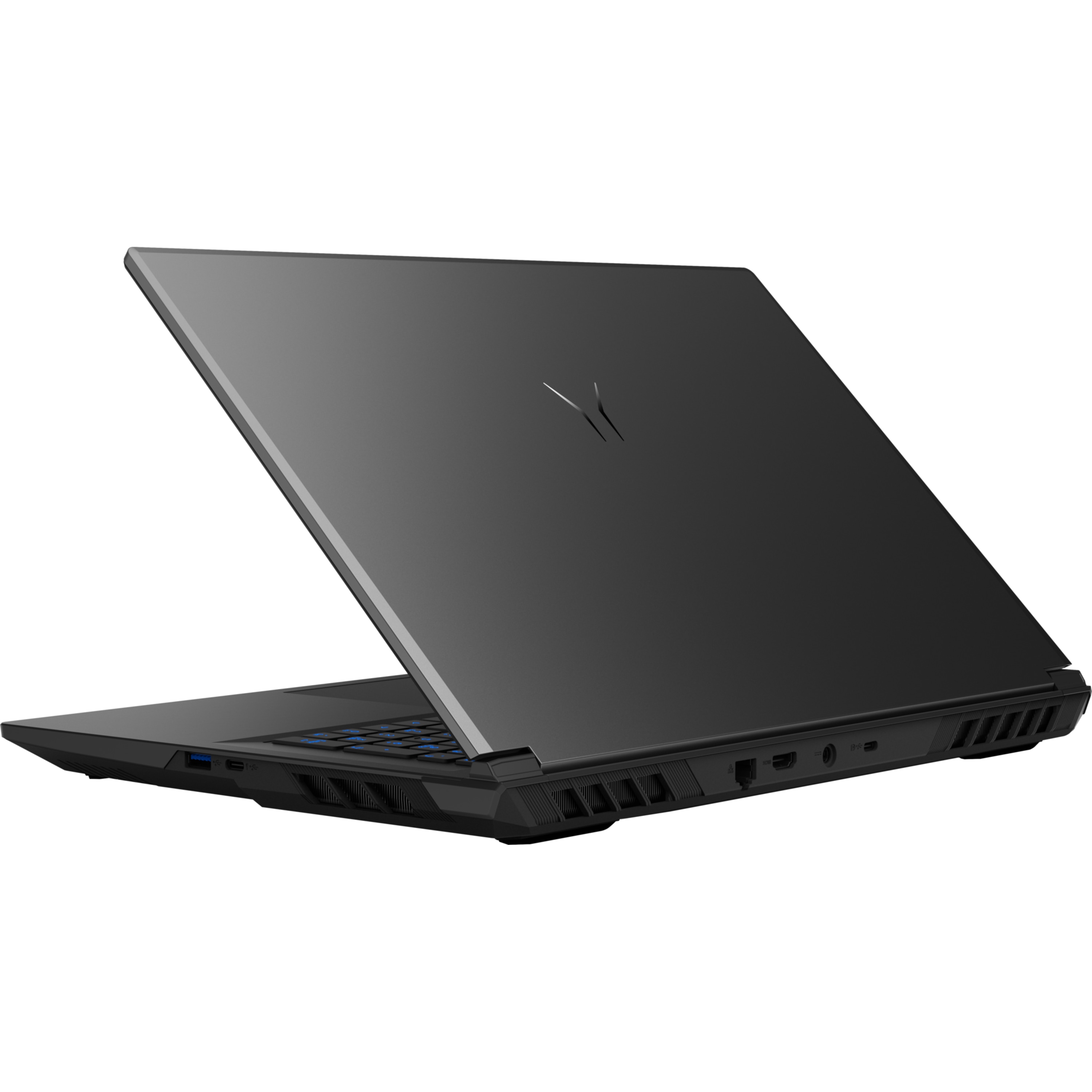 MEDION® ERAZER Defender 17 P10 Core Gaming Laptop, Intel® Core™ i9-14900HX, Windows 11 Home, 43,8 cm (17,3") FHD Display mit 144 Hz, NVIDIA® GeForce RTX™ 5060, 1 TB SSD, 16 GB RAM