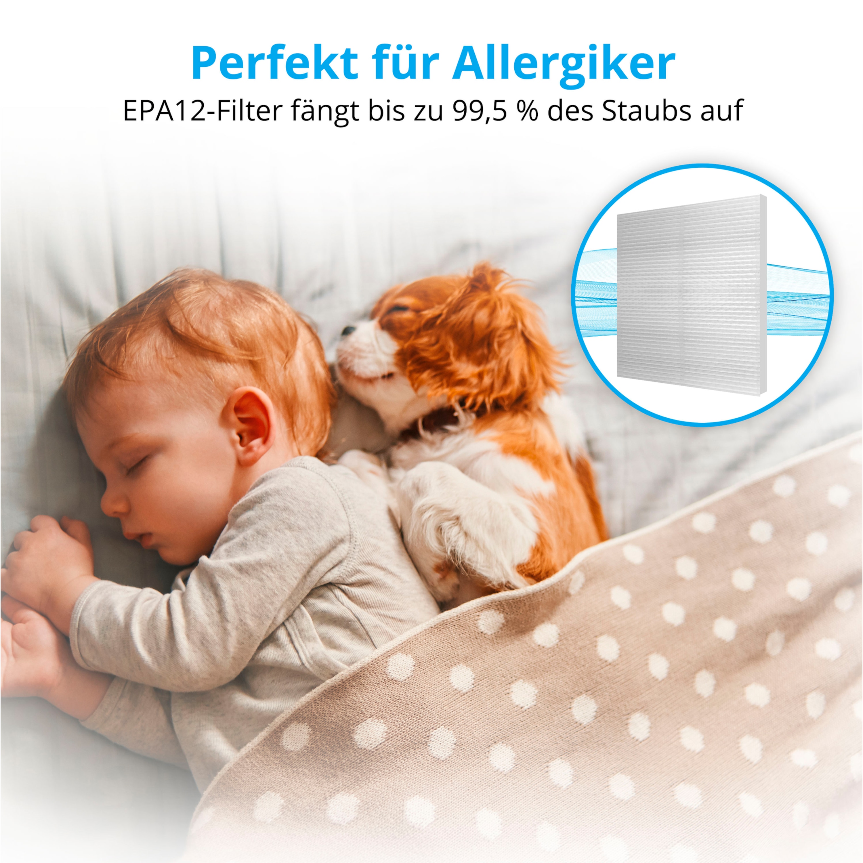 MEDION® Beutelloser Zyklon-Staubsauger MD 19407, 150W Saugleistung, Staubbehälterkapazität 2 L, EPA Filter, integriertes Zubehör