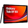 SAMSUNG Galaxy Tab S9 5G, 128 GB, Grey