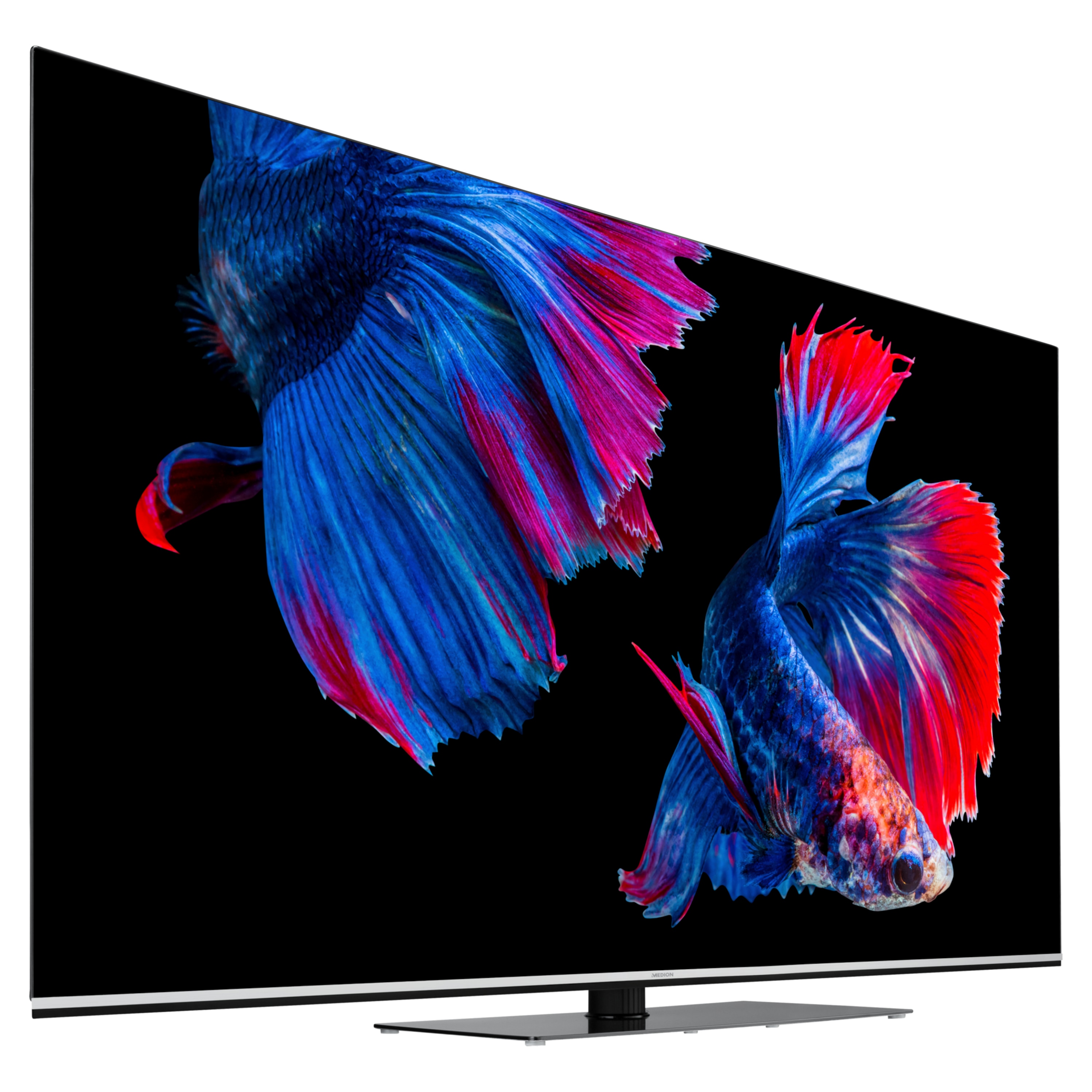 MEDION® LIFE® X16595 (MD 33989) OLED Smart 4K TV, 163,9 cm (65'') Ultra HD Display, HDR, Dolby Vision®, Dolby Atmos®, Micro Dimming, MEMC, 100 Hz, PVR ready, Netflix, Amazon Prime Video, Bluetooth®, DTS HD, HD Triple Tuner, CI+ (B-Ware)